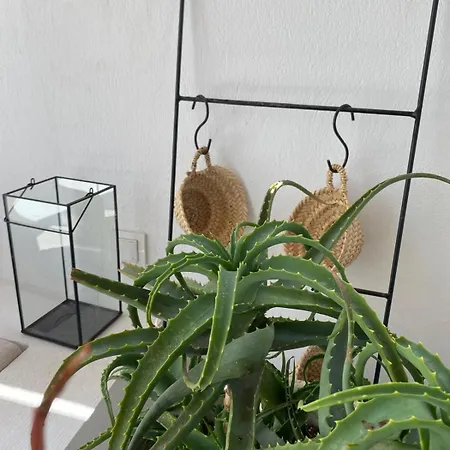 Design House In The Historic Center Of Sigacik Prázdninový dům