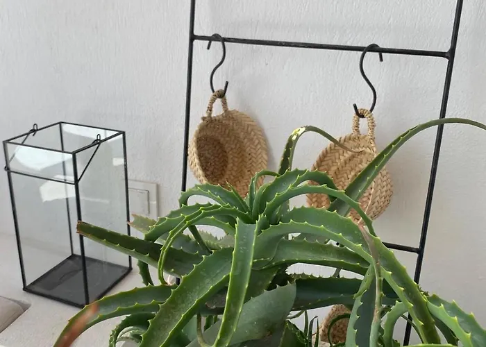 Design House In The Historic Center Of Sigacik Дом отдыха