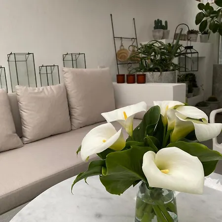 Casa vacanze Design House In The Historic Center Of Sigacik *