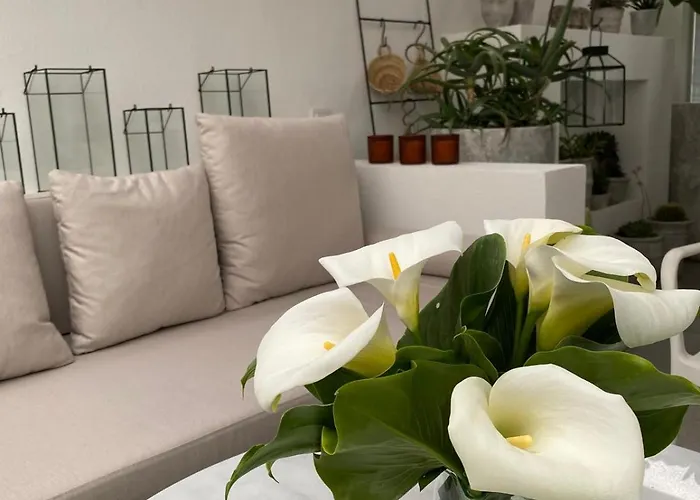 Tatil Evi Design House In The Historic Center Of Sığacık *